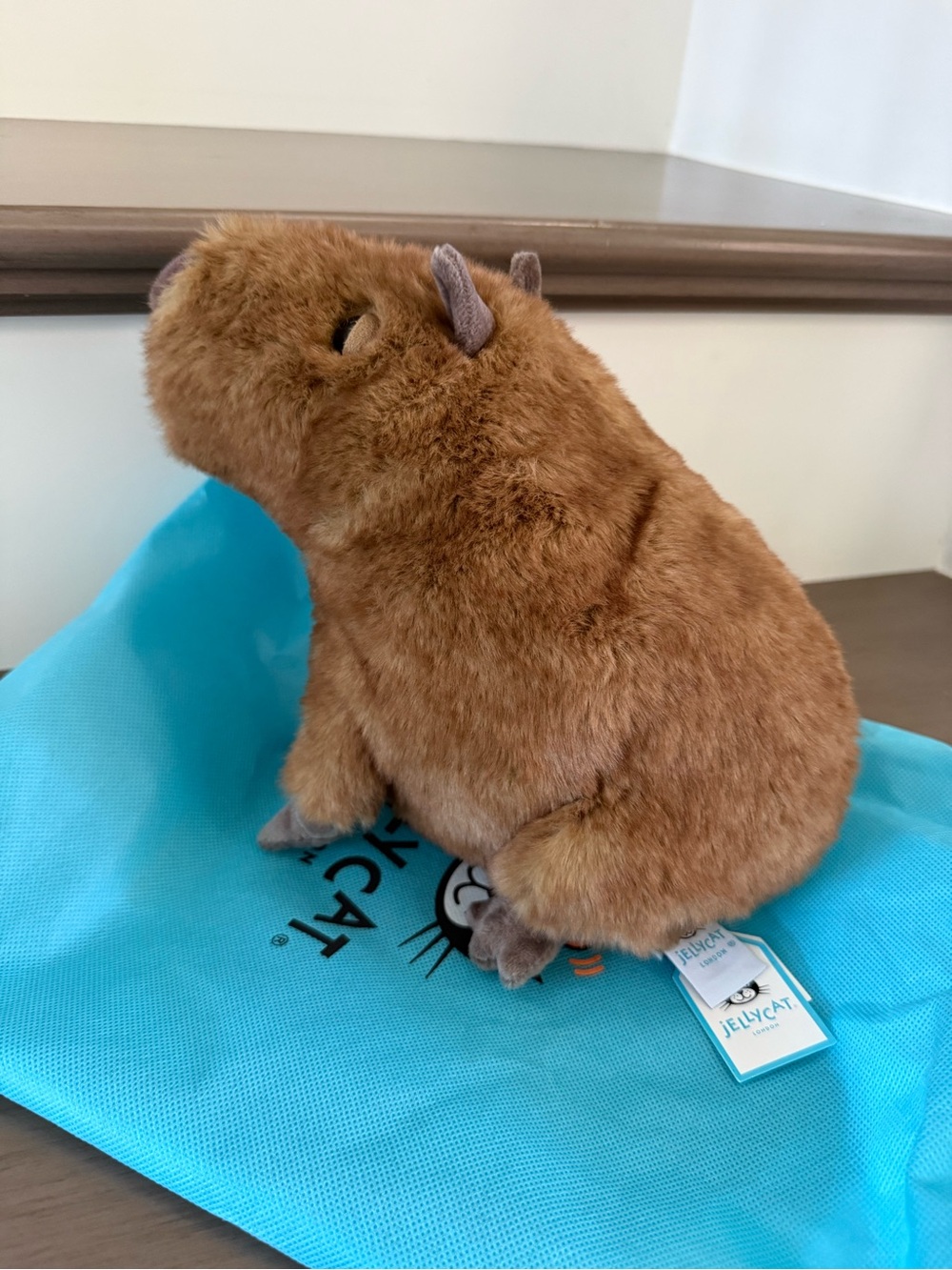 *NWT* Jellycat Clyde Capybara - Picture 3 of 3